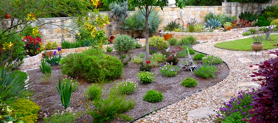 Cómo crear un jardín resistente a la sequía: plantas, diseño y cuidados mínimos