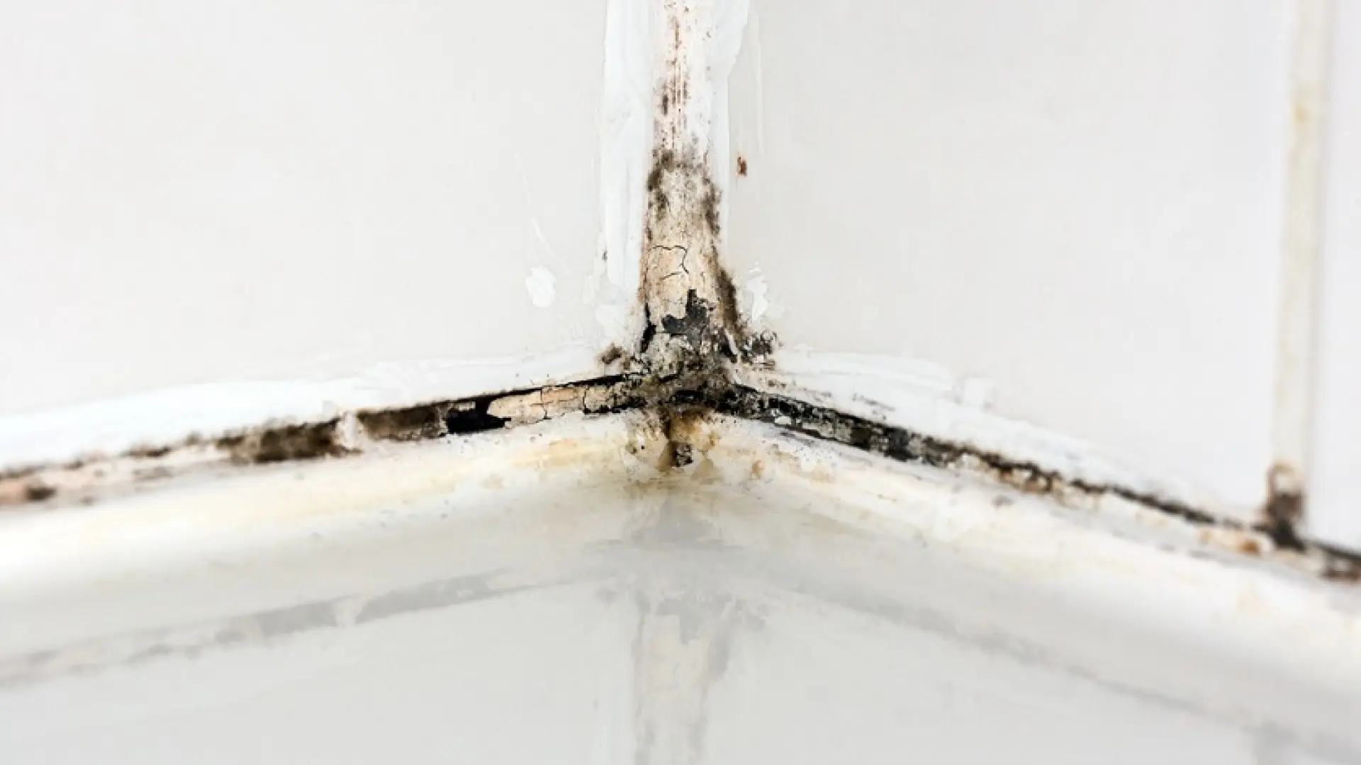 Cómo eliminar el moho de las juntas del baño sin productos agresivos