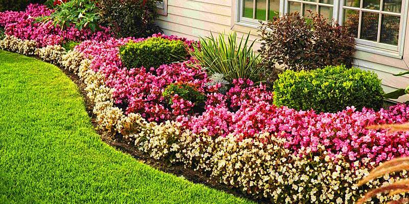 Cómo preparar el suelo del jardín para plantar y asegurar un buen crecimiento